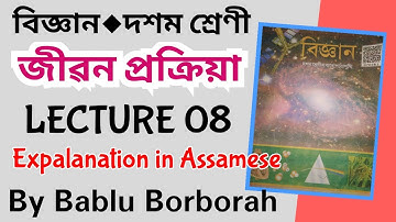 Life Process (জীৱন প্ৰক্ৰিয়া) | Lecture 8 | Science | Class 10 | Assamese Medium by Bablu Borborah
