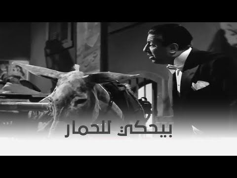 خطف مراتي بيحكي حكايته للحمار