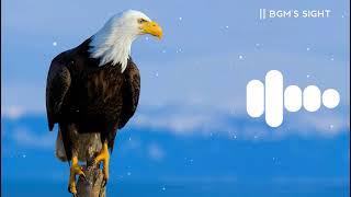 Wyr Gemi - Eagle Ringtone | Best Attitude Ringtone |  Download👇 | BGM Tones