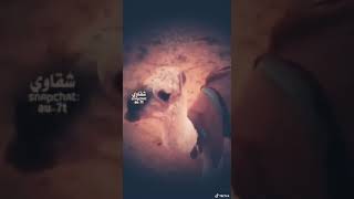 Mp3 تحميل كل مأقمضت عيني تمر اذكريأت أغنية تحميل موسيقى