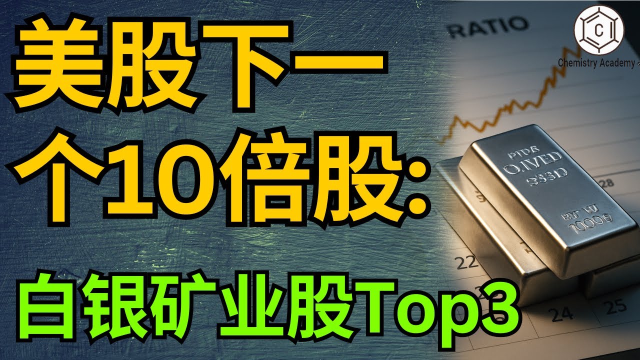 美股3大白银龙头股深度解析 WPM, PAAS, CDE，谁是下一个10倍股？2025 Silver Investment