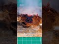 Rocket Bicycle using Hydrogen Peroxide?!