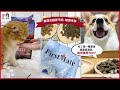 第一饗宴 無穀低敏 雞肉藍莓全貓4.54kg FirstMate WDJ 單一蛋白 低GI 貓飼料 product youtube thumbnail