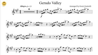 Gerudo Valley - The Legend of Zelda: Ocarina of Time (Flute Solo with Piano Accompaniment) - Koji Kondo