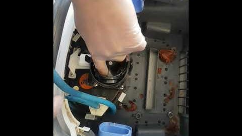 Cleaning Impeller on Dolphin Robotic Pool Cleaner