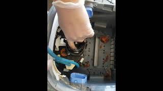 Cleaning Impeller on Dolphin Robotic Pool Cleaner