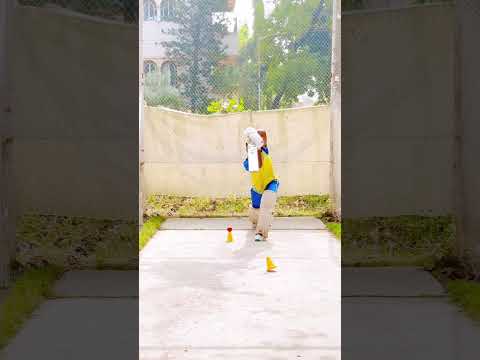 Experience the Excitement of Cricket Road Online Game - Place Your Bets Now!