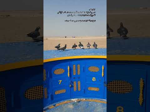 الزين يستاهل قول وفعل ولم اللم ابو احمد ترقبو بدوات الذهب الي شريتو اخوانهم تستاهلون 