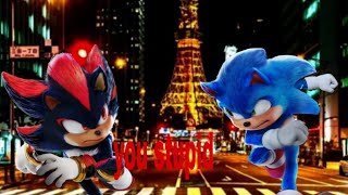 Sonic And Shadow Chase Scenebut I Voice It