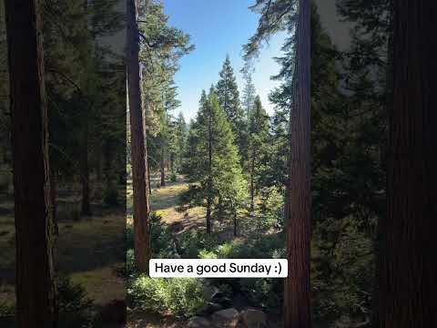 Have a good Sunday! :)