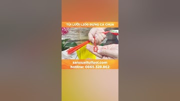 Túi lưới nhựa L200 đựng cà chua/sanxuattuiluoi.com #shorts