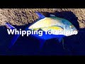 Whipping for Papio!!! (Tackle Tips Ep01 W/Subtitles)