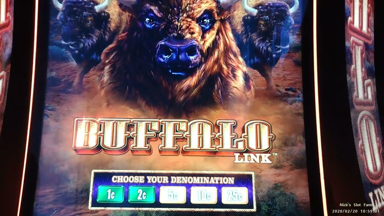 All About the Buffalo Slot Machine Series – Know Your Slots