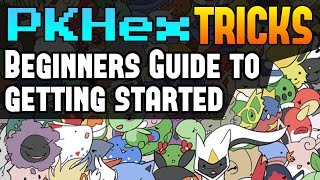 PKHex Beginners Guide for Setup - PKHex Tricks