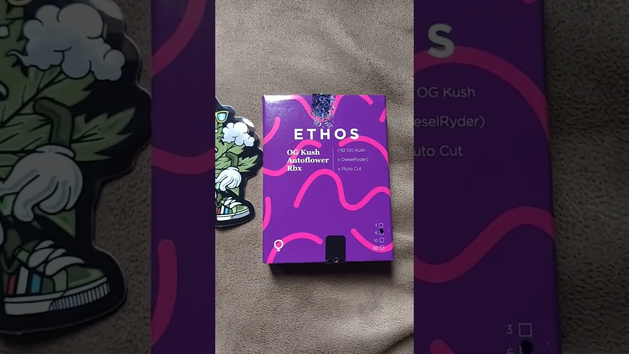 For medical mmj purposes only nothing is for sale ethos genetics ogkush Autoflower Rbx stay tooned.