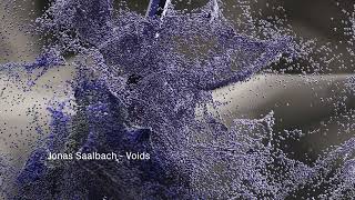 Jonas Saalbach - Voids