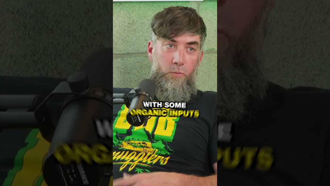 Northern Emeralds What An Episode, We Dive Deep into OG & Humboldt…