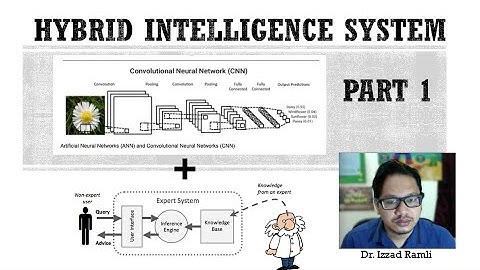 Hybrid Intelligence System (Part 1)