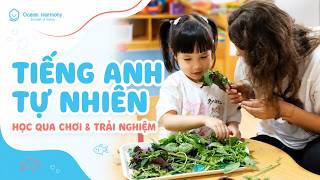 Trẻ học tiếng Anh tự nhiên tại Ocean Harmony như thế nào