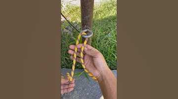 Essential Daily Knot Skills