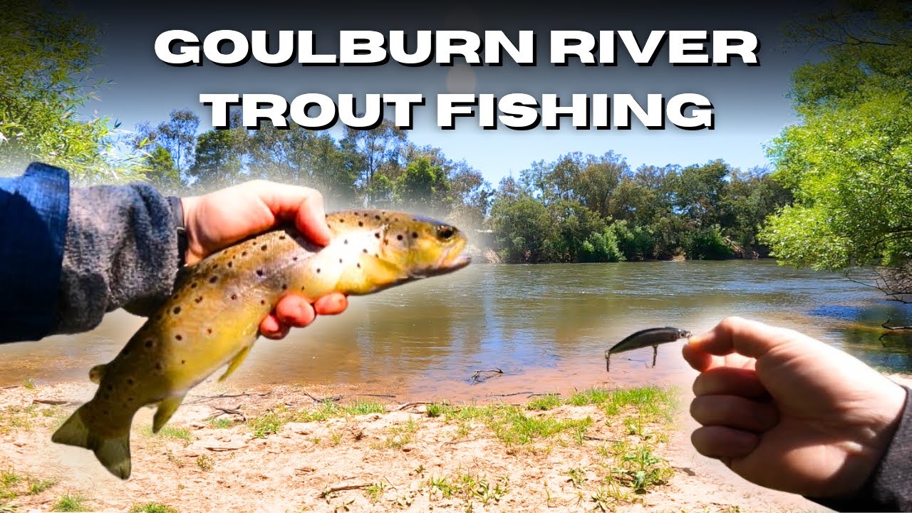 Goulburn River Trout Fishing Top Trout Fishing Tips for High