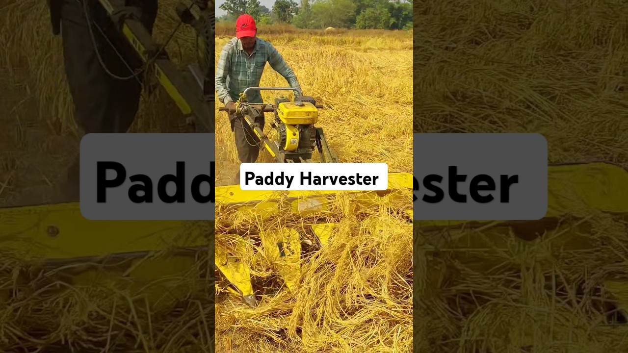 Paddy Reaper Machine l Paddy Harvester l FarmTech l 