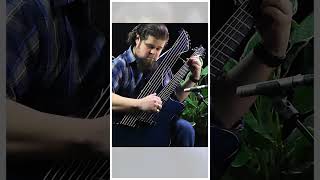 Discover new possibilities with the #EmeraldGuitars Synergy X20 Harp Guitar!