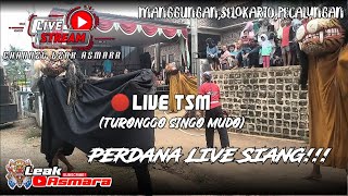 TSM LIVE DI MANGGUNGAN #part 1, SELOKARTO, PECALUNGAN || TURONGGO SINGO MUDO