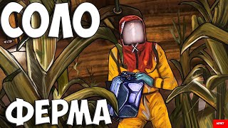 СОЛО ФЕРМА СРЕДИ КЛАНОВ в RUST/РАСТ