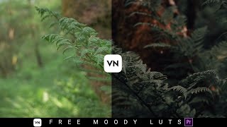 😱Free Moody Free Luts | VN Luts 😱 | Premiere Pro Lut | Cinema |Colour Grading In Mobile (VN Editor)