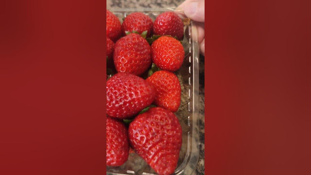 How to keep fresh strawberries moldfree YouTube