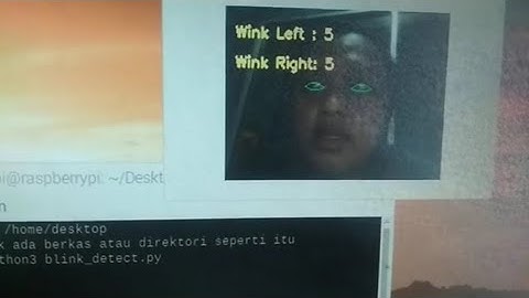Eye Blink Detection Using Facial Landmarks On Raspberry Pi