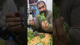 Karsa Ait Çeşitli Bitkiler Ve Tanıtımı