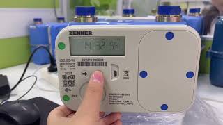 Zenner Lorawan Gas Meter Video Sample Showcase