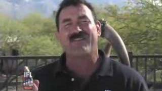 Celebrity Dear Don: Middleweight MMA Fighters Net Worth