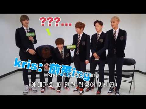 [한글자막] 140121 EXO-M 爱奇艺 인터뷰 (예고편②) by유애