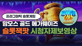[슬롯]프라그마틱 슬롯잭팟 맘모스 메가웨이즈 MAMMOTH GOLD MEGAWAYS screenshot 4