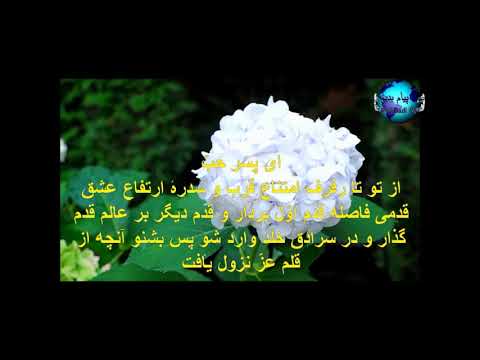 متن کامل کلمات مبارکه مکنونه فارسی اثر جاویدان حضرت بهاءالله