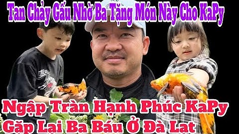 Ngập Tràn Hạnh Phúc KaPy Gặp Lại Ba Báu Tan Chảy Gấu Nhờ Ba Tặng Quà Cho Em Gái #đoànvănbáu #kapy 