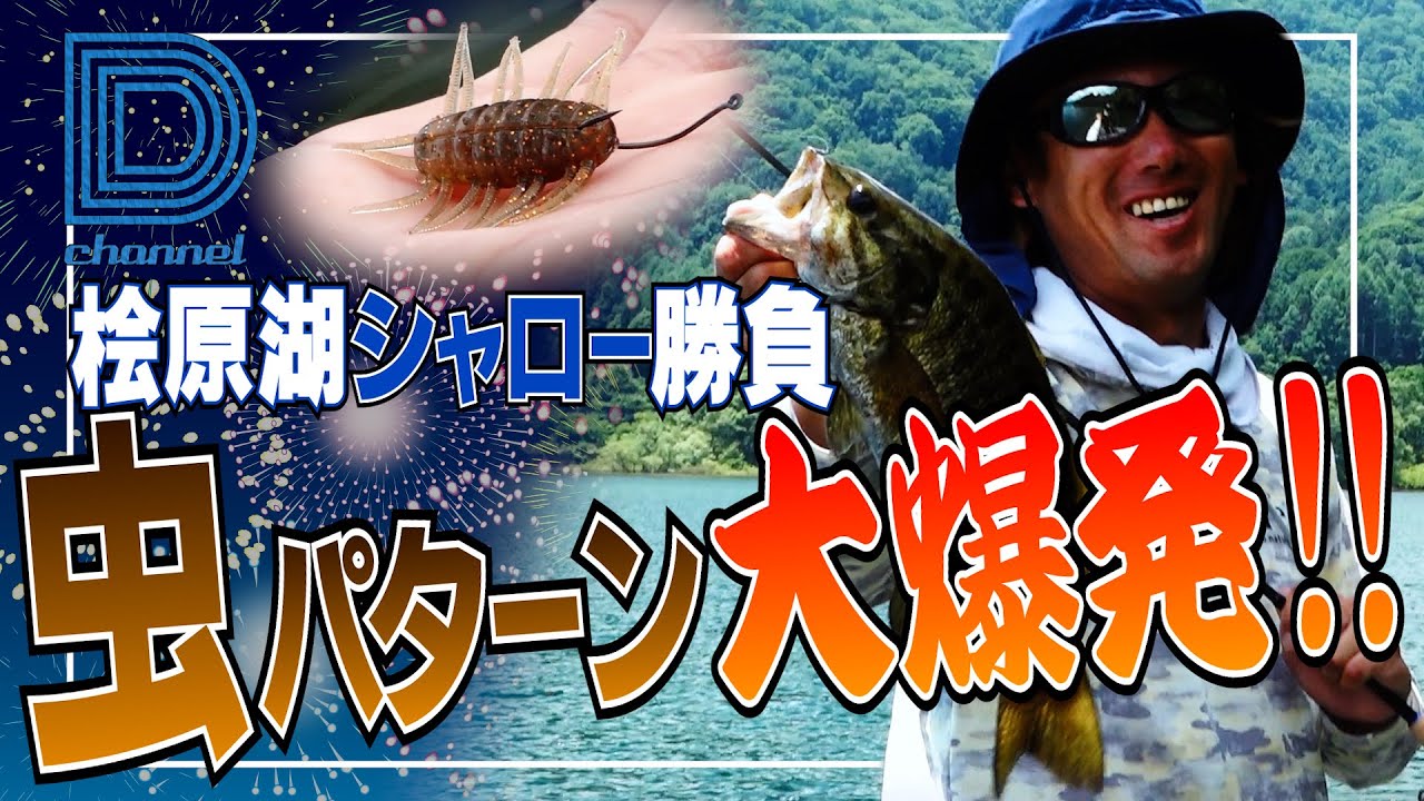【青木大介 D Channel #020】桧原湖シャロー勝負！虫パターン大爆発!!