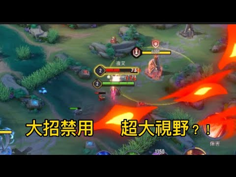 我把這個訓練場玩壞了！大招不見？
