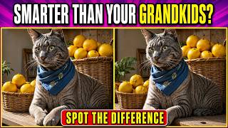 Spot the Difference Brain Training | Find All Changes [Random Draw Level 1-5] #81