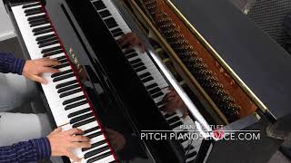 Kawai Ns10 124Cm 1985 Snk1588576