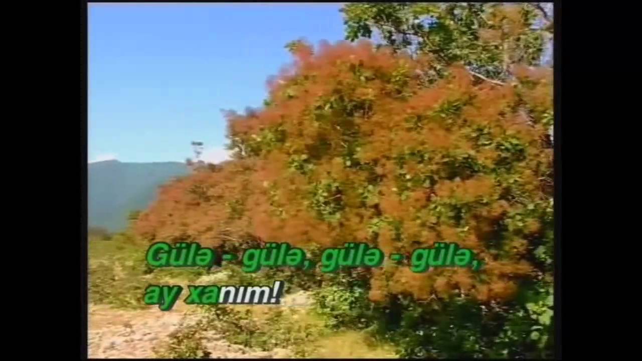 Azeri Karaoke "Gülə Gülə" Xalq Mahnısı YouTube