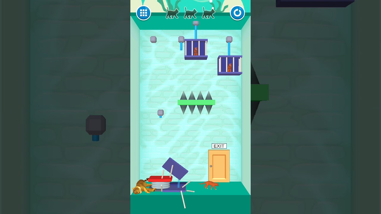 Rescue cut! Cat 🐱53