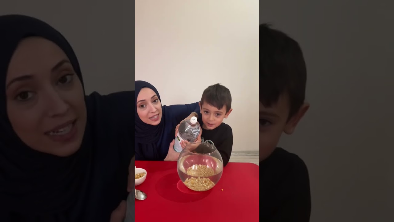 Dans eden mısırlar deneyi yapıyoruz🌽💃