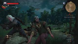 The Witcher 3: Wild Hunt GOTY EDITION GAMEPLAY 4k 60fps