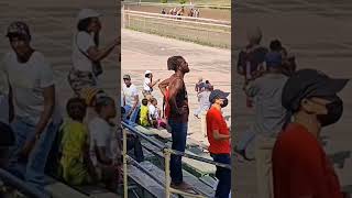 Caymanas park horse racing jamaica