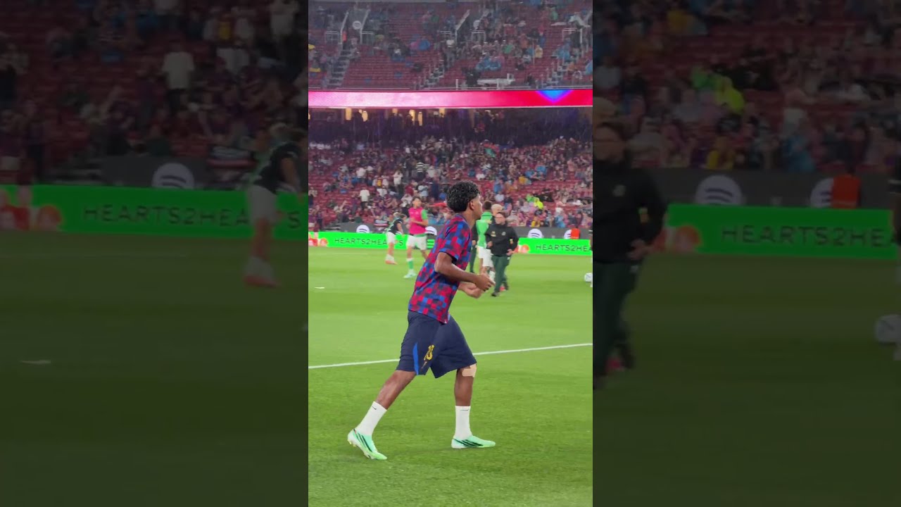 Vamos, chicos