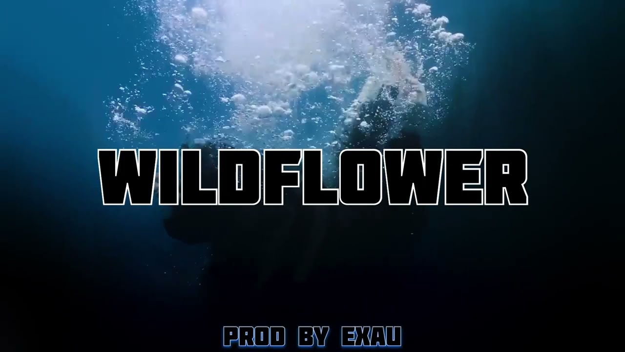 PHILLY DRILL REMIX WILDFLOWER PROD BY EXAU